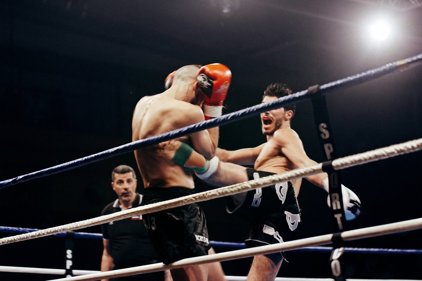 Why We Started SEO Fighter Club